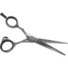DMI Left Handed Black Scissors