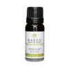 Kaeso Essential Oil Rosemary