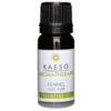 Kaeso Essential Oil Fennel