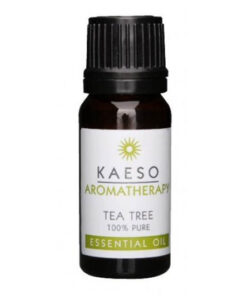 kaeso essential oil tea tree