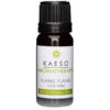 Kaeso Essential Oil Ylang Ylang