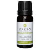 Kaeso Essential Oil Cedarwood