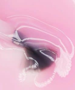 builder base bright pink