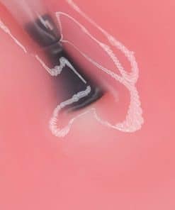 builder base pink blush