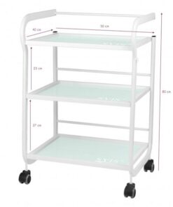 1013 Type Beauty Trolley Glass size