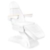 THBC Electric Lux Beauty Bed