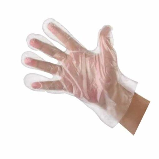 Poly Gloves Large 100pk