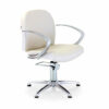 2019 Evolution Styling Chair