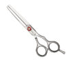 Thinner Scissors 5.5''