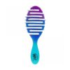Wet Brush Pro Flex Dry Teal Ombre