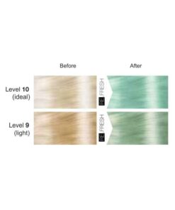 Lisap ReFresh Color Mask Aquamarine shades