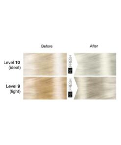 Lisap ReFresh Color Mask Silver shades