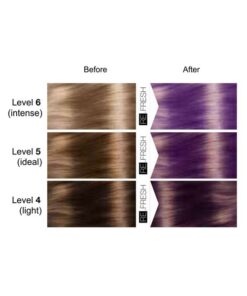 Lisap ReFresh Color Mask Violet shades