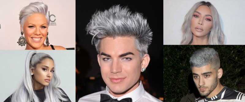silver celeb
