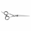 DMI Barber Scissors Left Handed 6.5