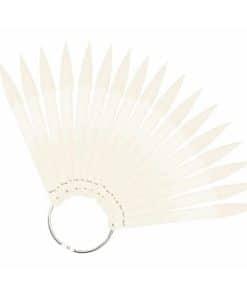 Clavier Clear Colour Ring Display Fan