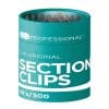 LJ Professional Salon Section Clips 36's