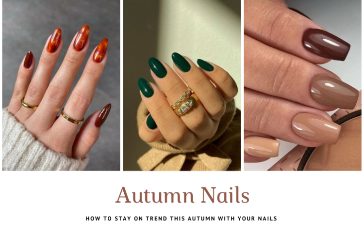 THBC Blog Header Template  2