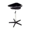 Portable Wash Basin