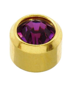 Caflon Earrings February Birthstone Amethyst Mini Gold