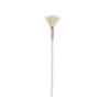 Strictly Professional Fan Mask Brush