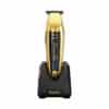 Wahl Gold 5 Star Cordless Detailer