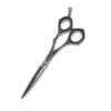 Alainn Hair Scissors Standard 5.5