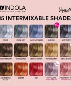 Indola Color Style Mousse 200ml 2