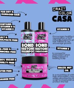 Crazy Color Bond Restore Kit 2