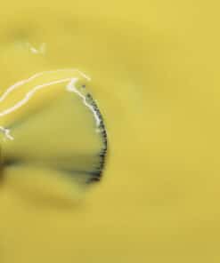 The Manicure Company Zero Gel Polish Lemon Split