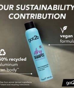 got2b dry shampoo extra volume lemon & bergamot 2