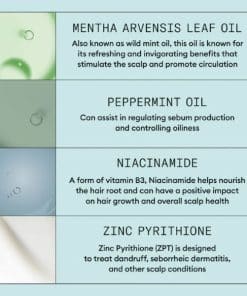 Nioxin Scalp Recovery Purifying Shampoo ingredients