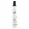 HS Milano 23 Strong Volume Foam 300ml