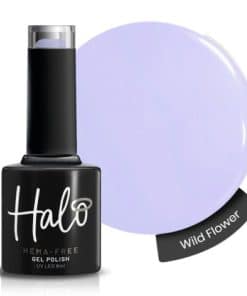 Halo Wildflower