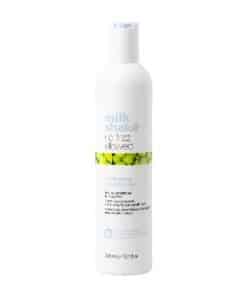 milk shake no frizz allowed conditioner `300ml